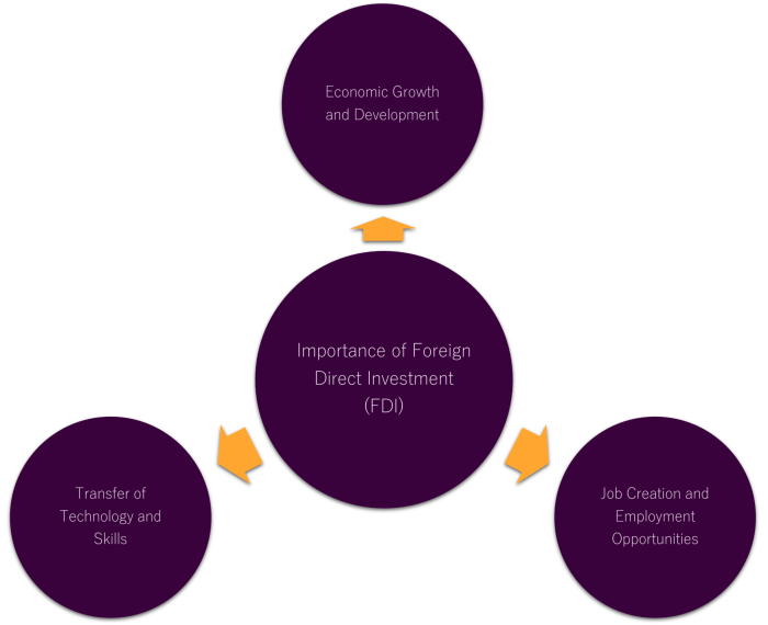 Foreign Direct Investment (FDI): Policies, Economic Impacts and Global ...